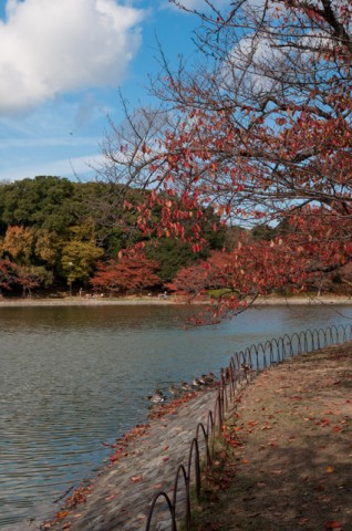 20121121-DSC_7632