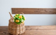 20160325-DSC_2399-mini